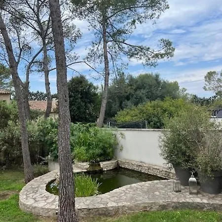 Villa Dernière Minute Excpetionnel Toute 4 Chbres Pool House Piscine Et Boulodrome Le Triadou